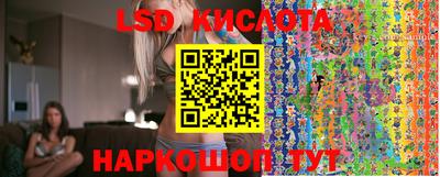 молекула духа Будённовск