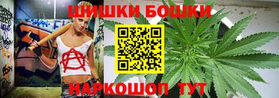 молекула духа Будённовск