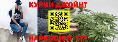 молекула духа Будённовск