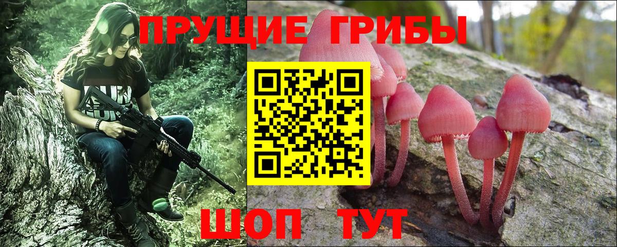 Псилоцибиновые грибы Psilocybine cubensis  Вход с VPN  Новошахтинск  Галлюциногенные грибы прущие грибы 